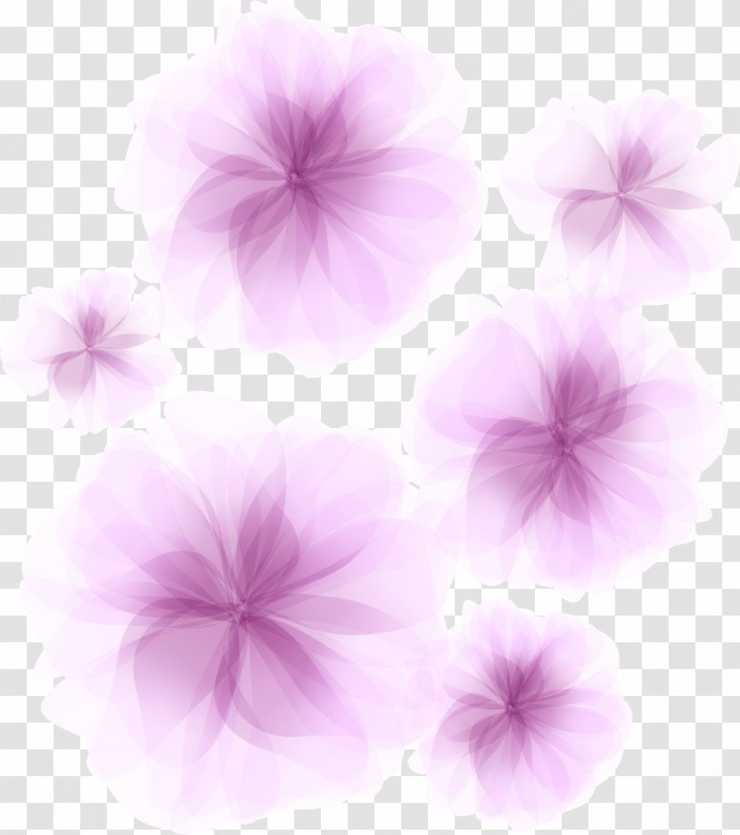 Desktop Wallpaper Petal Violet - Closeup - Dream Flowers Decorate Designs Transparent PNG