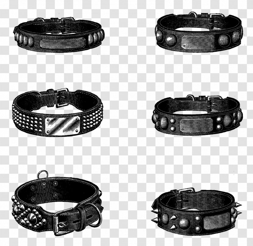 Buckle Clothing Accessories Belt Collar Jewellery - Clipart Transparent PNG