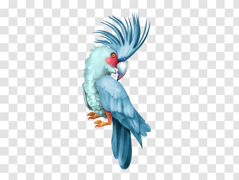 Budgerigar Bird Parakeet Macaw Feather - Budgie - Birds Streamer Transparent PNG