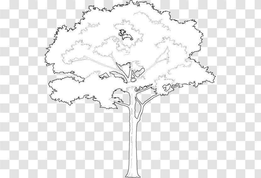 /m/02csf Floral Design Line Art Drawing - Tree - 2D Transparent PNG