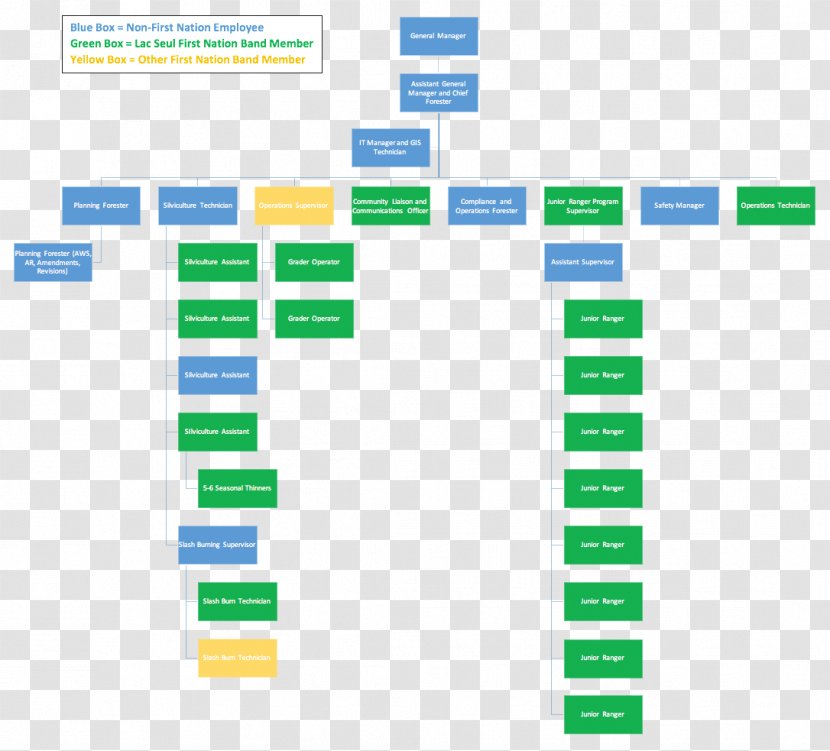 Organizational Chart Structure Information - Diagram - Organization Transparent PNG