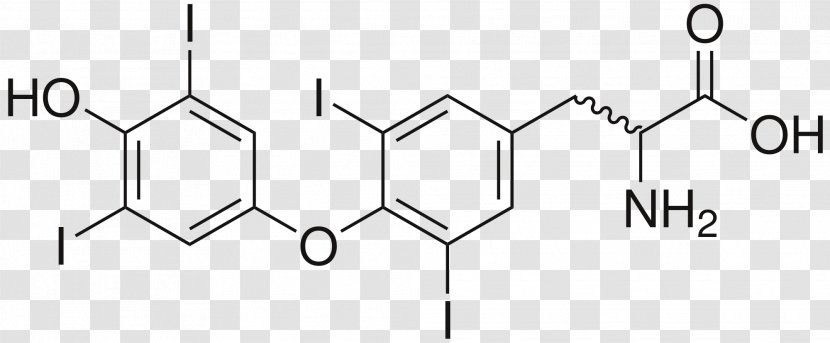 Chemistry Chemical Compound Erythromycin Pharmaceutical Drug Amino Acid - Tree - Hormone Secretion Transparent PNG