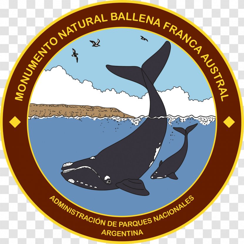 Campo De Los Alisos National Park Marine Mammal Southern Right Whale Baritú Laguna Pozuelos - Fauna - Parque Transparent PNG