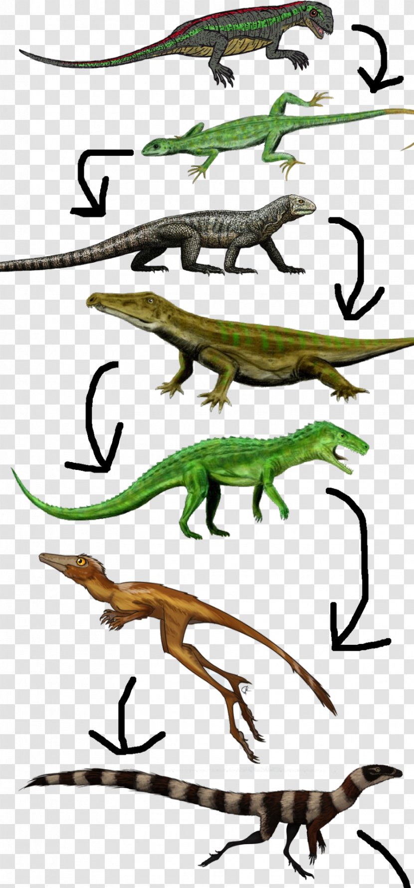 Lizard Clip Art Illustration Amphibians Fauna - Character - Charles Darwin Animals Transparent PNG
