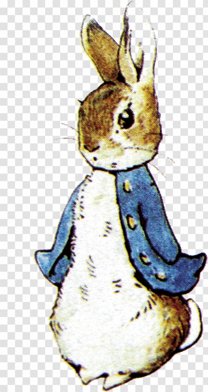 The Tale Of Peter Rabbit Illustration - Rabits And Hares Transparent PNG