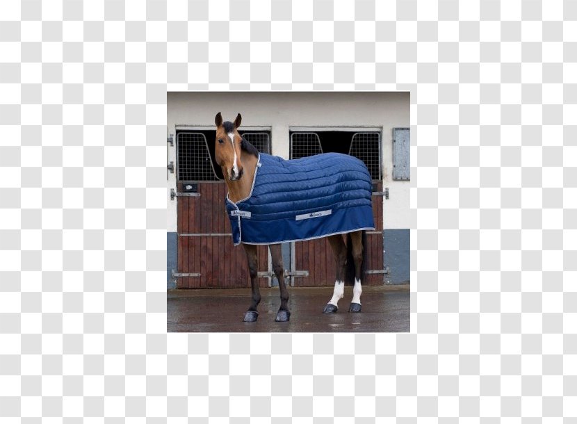Horse Blanket Surcingle Quilt - Supplies Transparent PNG