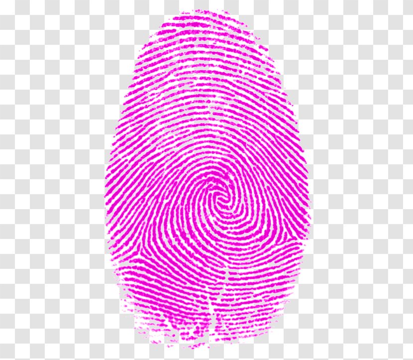 Fingerprint The Origin Of Finger-printing Thumb Fibonacci Number - Arrange Illustration Transparent PNG