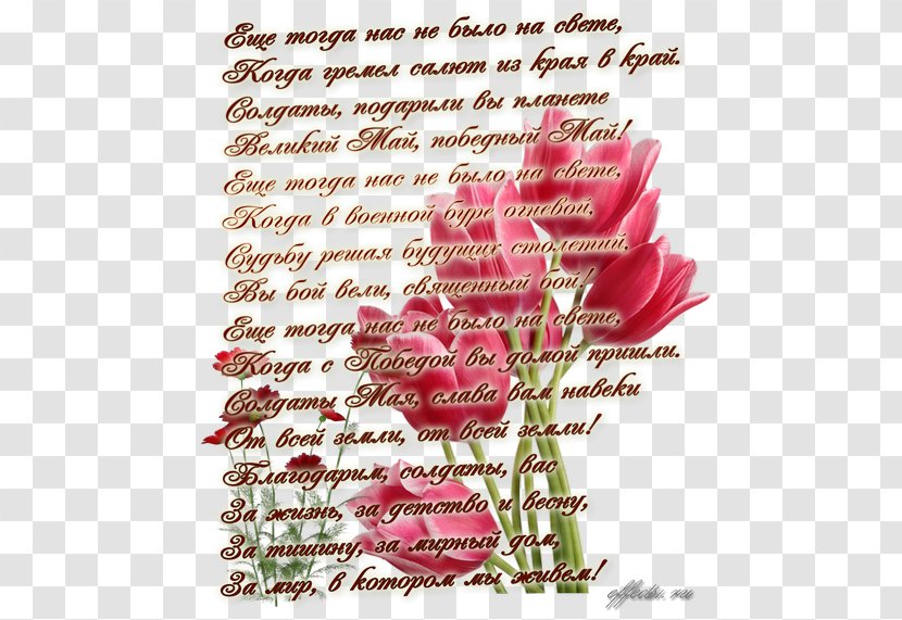 Victory Day Text Verse Holiday Garden Roses - Red - Maja Transparent PNG