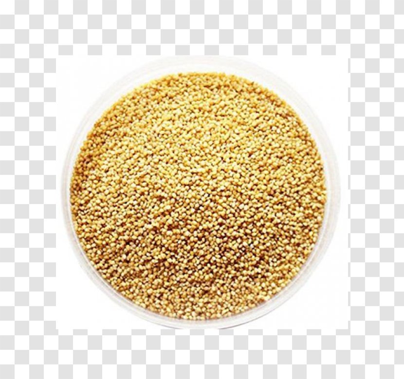 Cereal Germ Foxtail Millet Seed - Pearl - Rice Transparent PNG