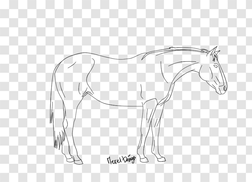 Mule Pony Line Art Mustang Sketch - Organism Transparent PNG