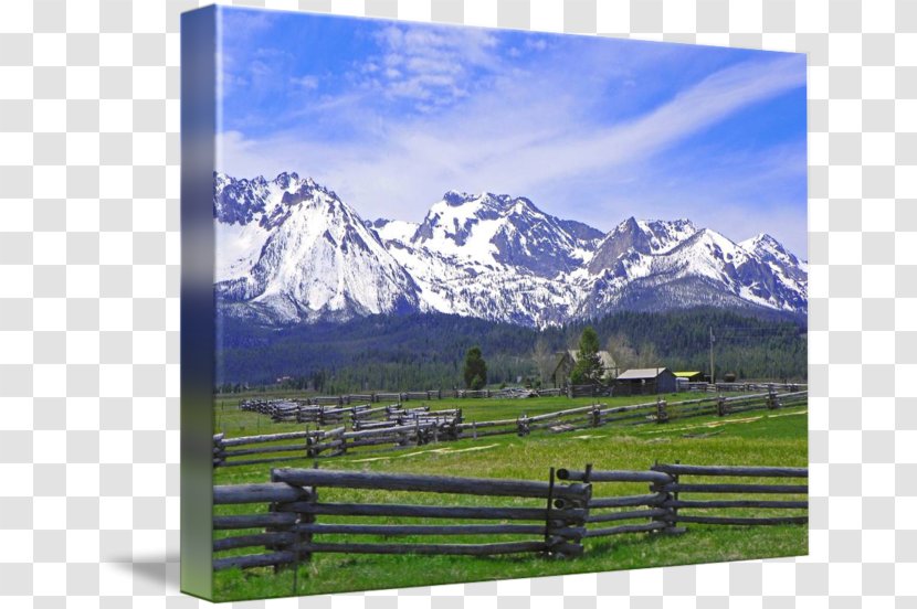 Gallery Wrap Mount Scenery Alps Energy Farm - Grass - Let The Stars Guide You Transparent PNG