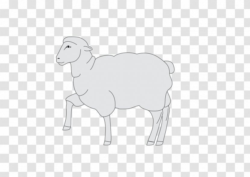 Sheep Goat Cattle Cartoon Mammal - White Transparent PNG
