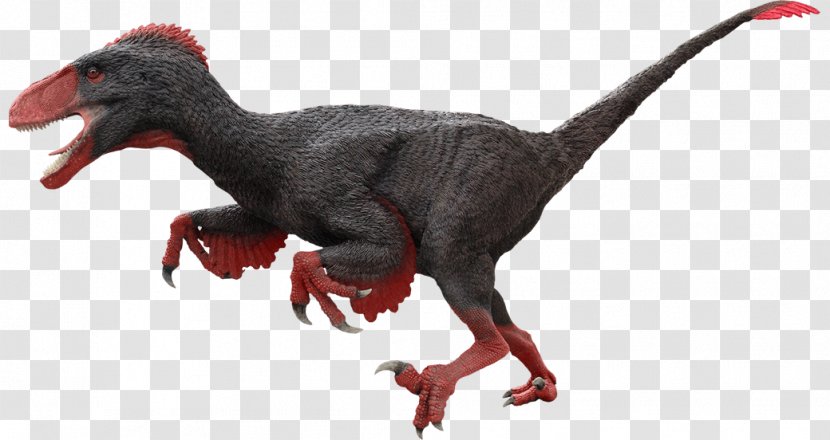 Velociraptor Utahraptor ARK: Survival Evolved Allosaurus Moab Giants - Animal - Kids Theater Transparent PNG