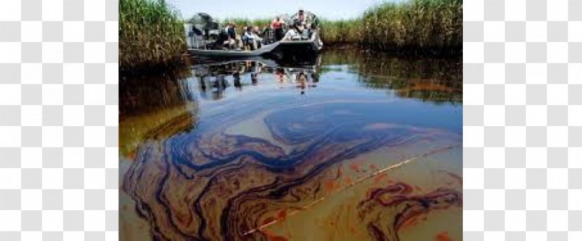Deepwater Horizon Oil Spill Gulf Of Mexico Petroleum - Dispersants Transparent PNG