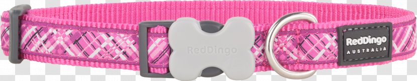 Dog Collar Dingo Harness - Fashion Accessory - Red Transparent PNG