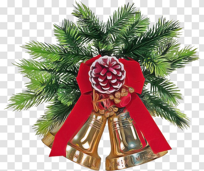 Christmas Ornament - Plant - Eve Transparent PNG