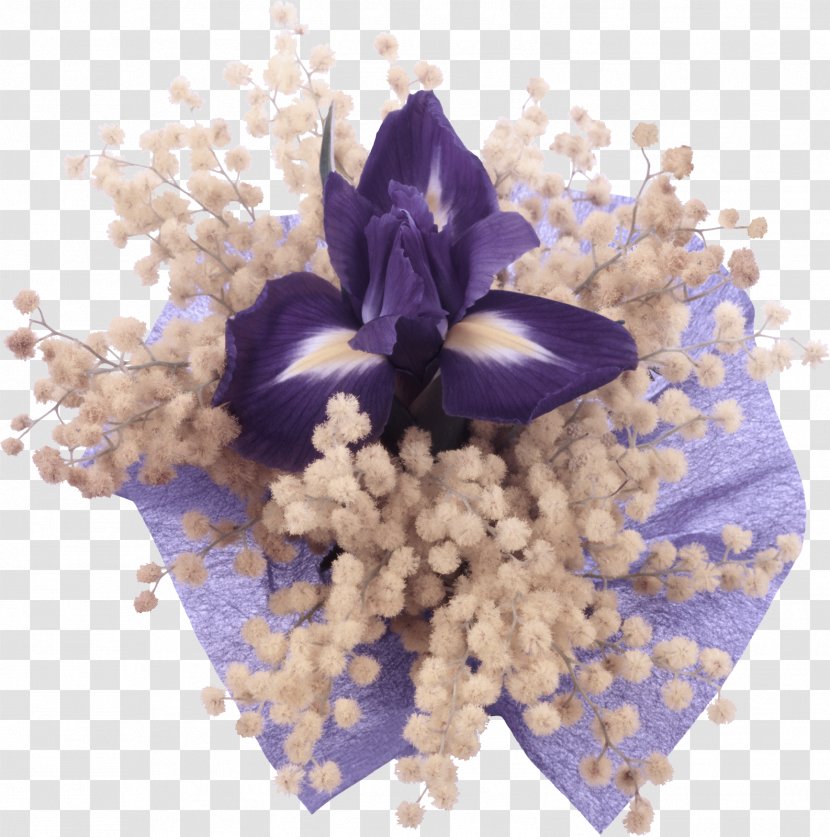 Lavender - Purple - Dendrobium Delphinium Transparent PNG