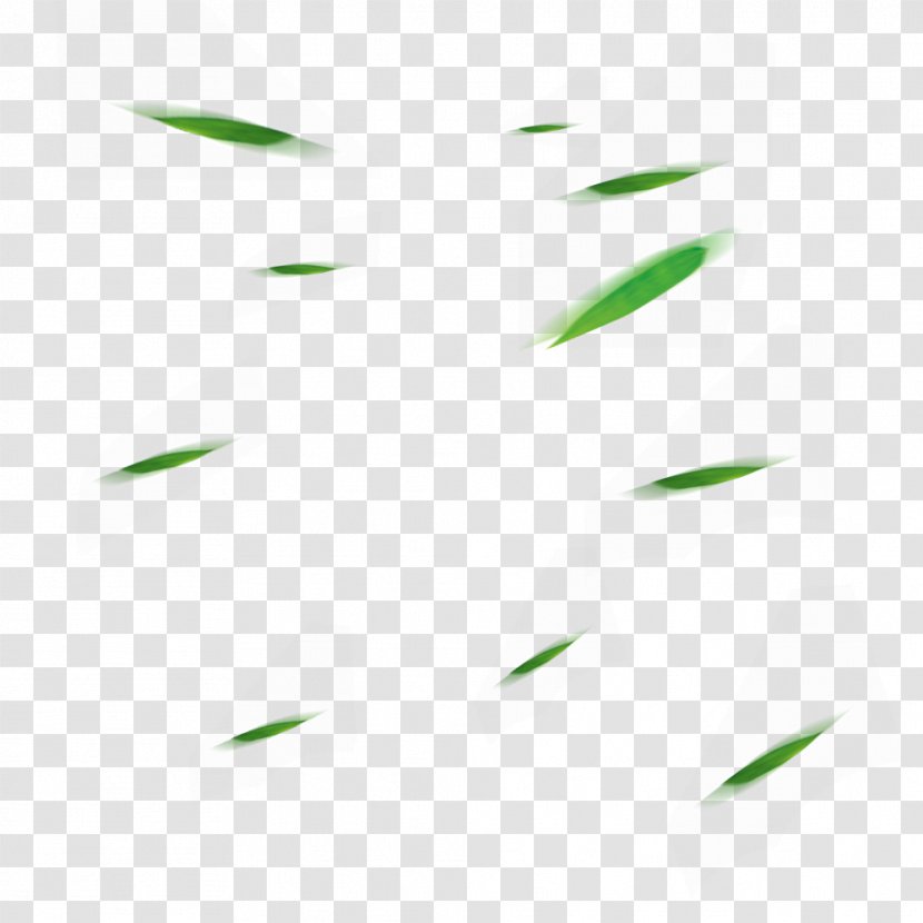 Leaf Angle Pattern - Symmetry Transparent PNG