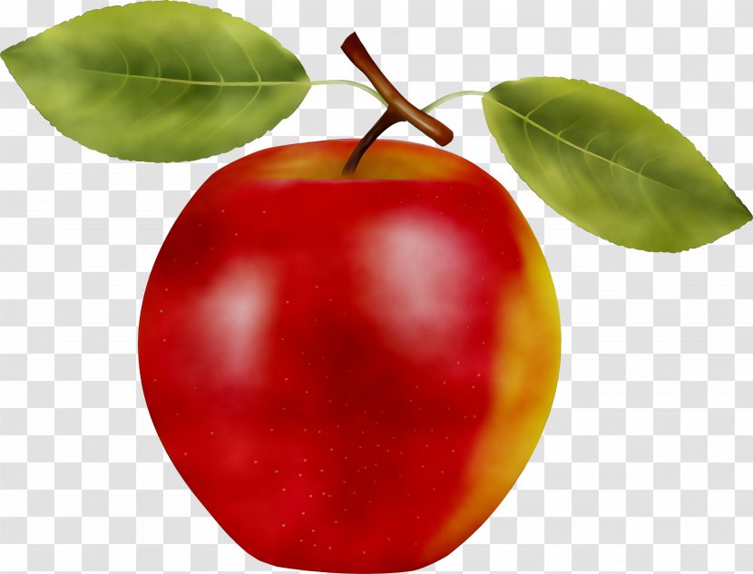 Barbados Cherry Apple Fruit - Plant Transparent PNG