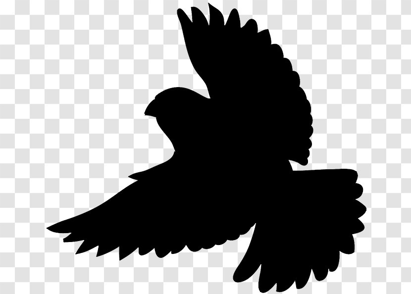 Bird Silhouette Clip Art - Of Prey - Flying Outline Transparent PNG