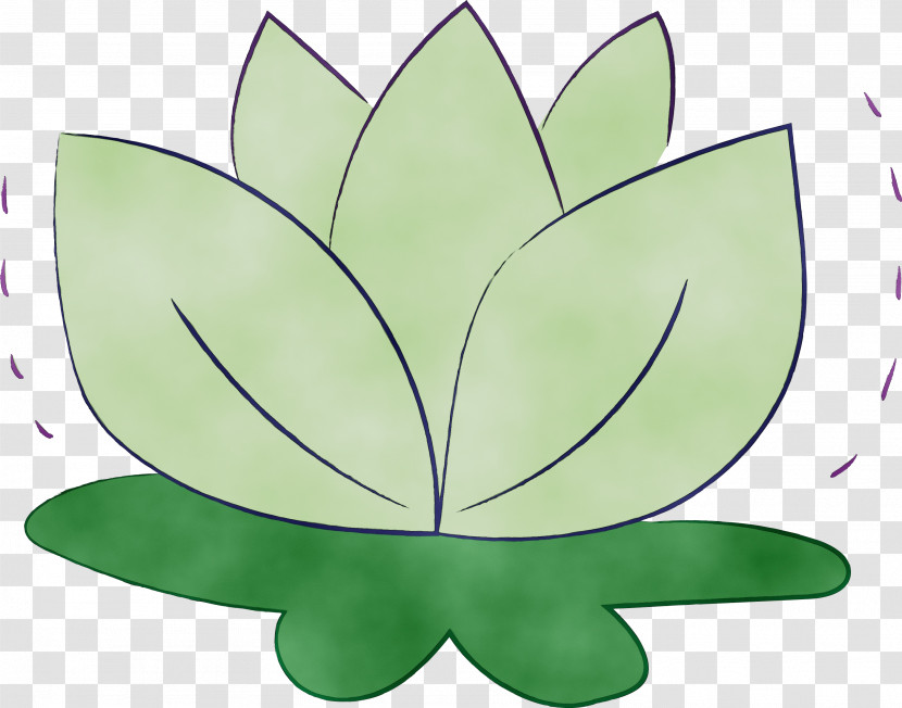 Leaf Flower Green M-tree Symmetry Transparent PNG