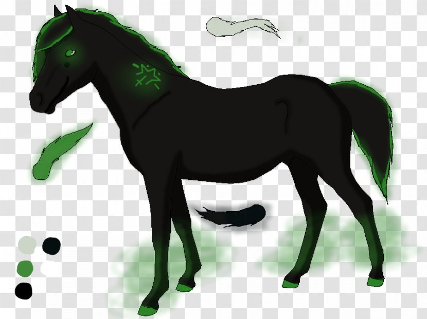 Mustang Stallion Foal Mare Colt - Organism Transparent PNG