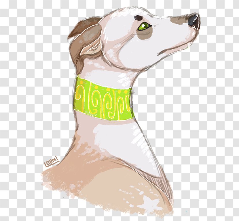 Dog Breed Italian Greyhound Cartoon - Misse Transparent PNG