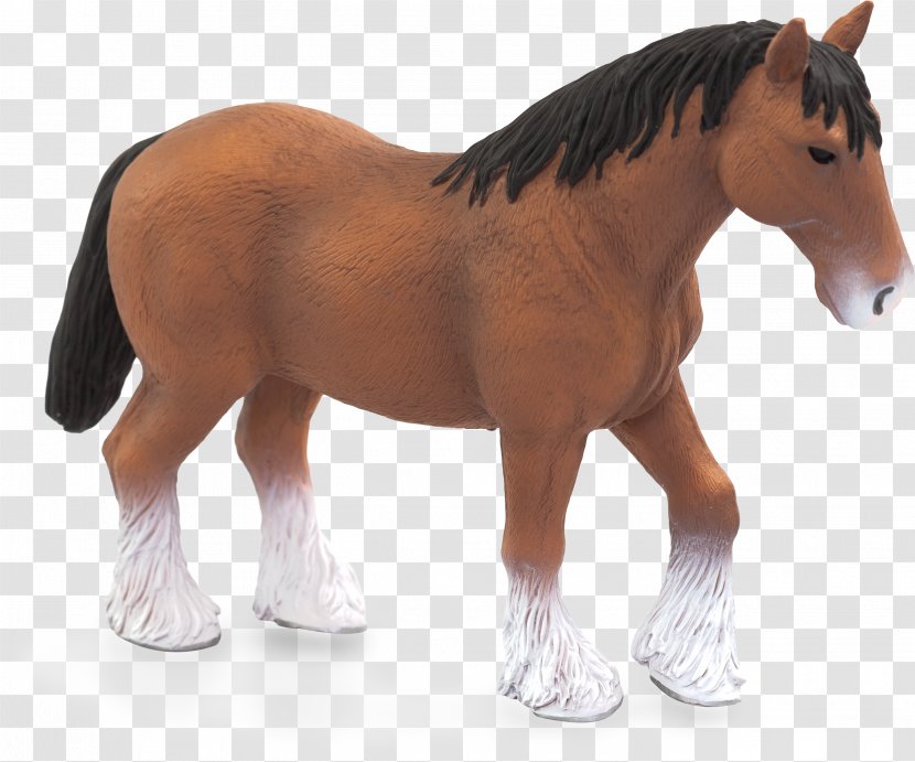Clydesdale Horse Stallion Shire Mare American Quarter - Mane Transparent PNG