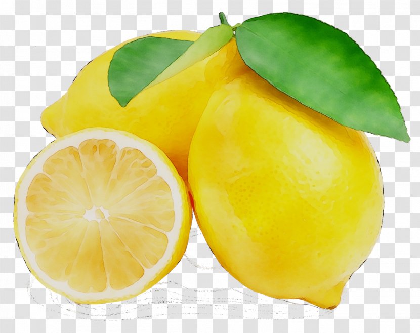 Lemon Key Lime Citron Rangpur - Fruit Transparent PNG