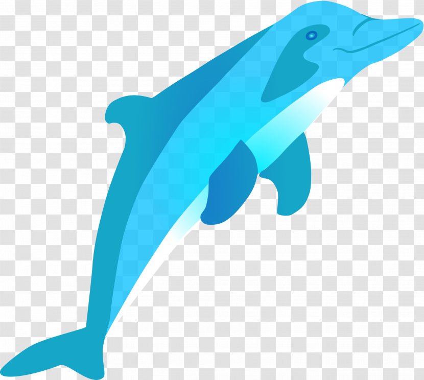 Bottlenose Dolphin Amazon River Clip Art - Jumping - Cute Transparent PNG