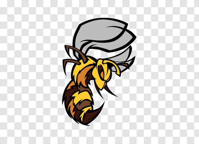 Honey Bee Hornet Car Sticker - Art Transparent PNG