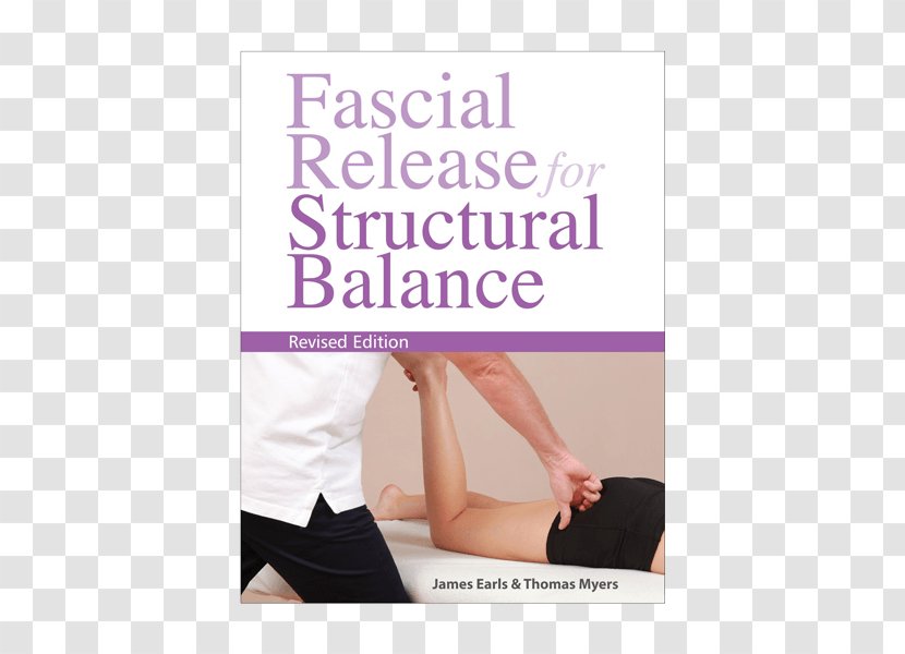 Fascial Release For Structural Balance Physical Therapy Anatomy Trains: Myofascial Meridians Manual And Movement Therapists Hip - Watercolor - Fascia Training Transparent PNG