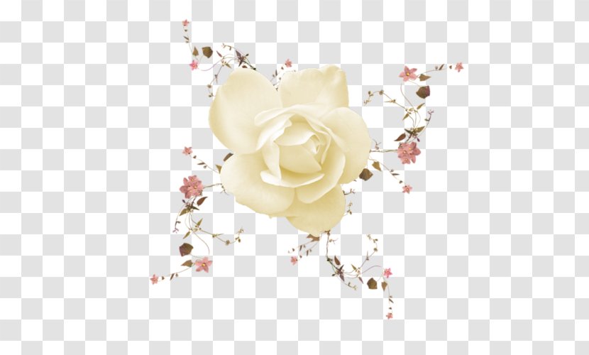 Garden Roses Cut Flowers Floral Design - Pink - Flower Transparent PNG
