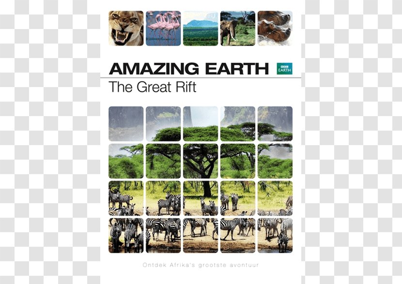 BBC Earth Blu-ray Disc Yellowstone National Park - Flora En Fauna Transparent PNG