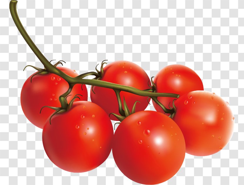 Tomato Vegetable Italian Cuisine - Tempting Transparent PNG