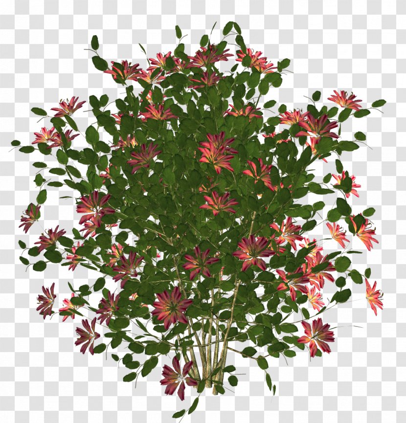Flower 3D Rendering Stock Photography - Potted Plants Transparent PNG