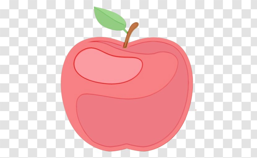 Apple Fruit Pink Red Plant - Watercolor - Food Mcintosh Transparent PNG