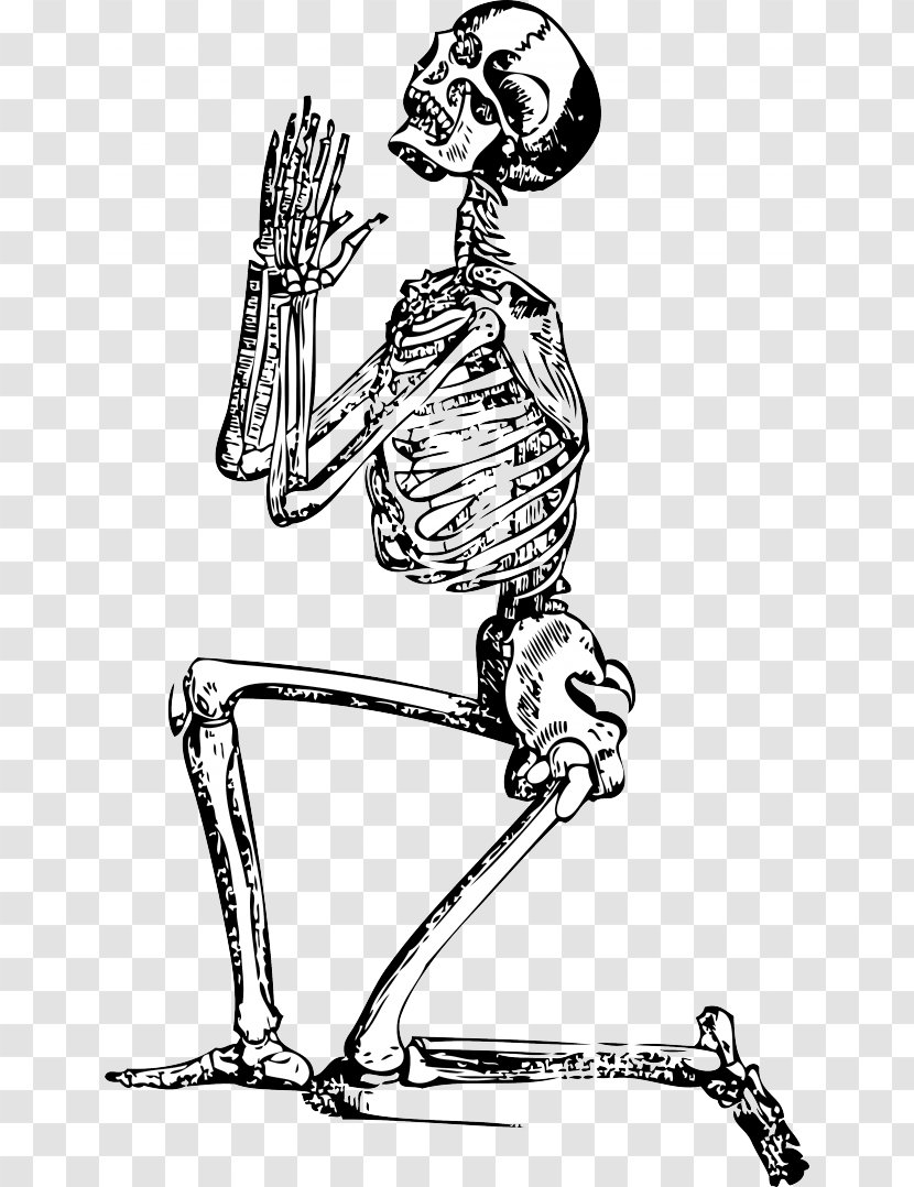 Human Skeleton Prayer Clip Art - Recreation - Halloween Cartoon Transparent PNG