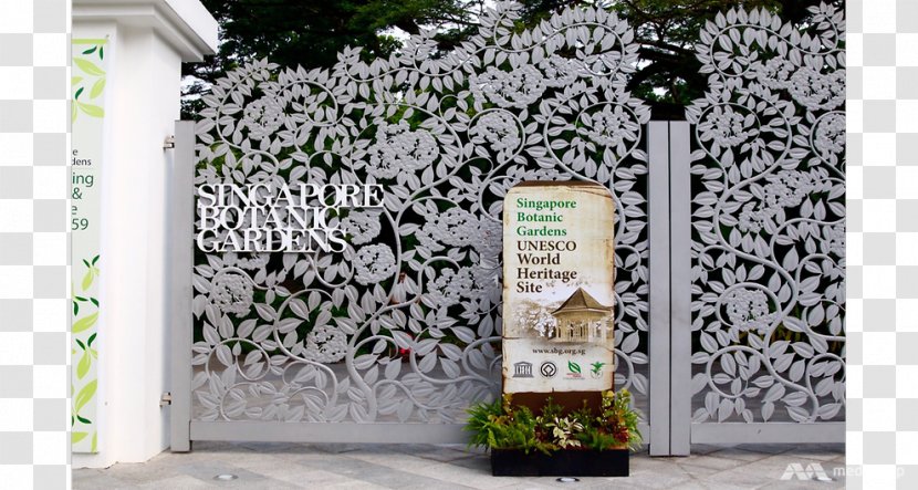 Singapore Botanical Garden Tree - Flora Transparent PNG