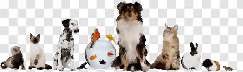 Dog Breed Yorkshire Terrier Australian Shepherd Companion - Wet Ink - Cat Transparent PNG