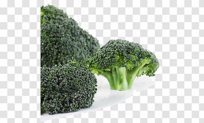 Broccoli Vegetable - Gratis - Fresh Transparent PNG