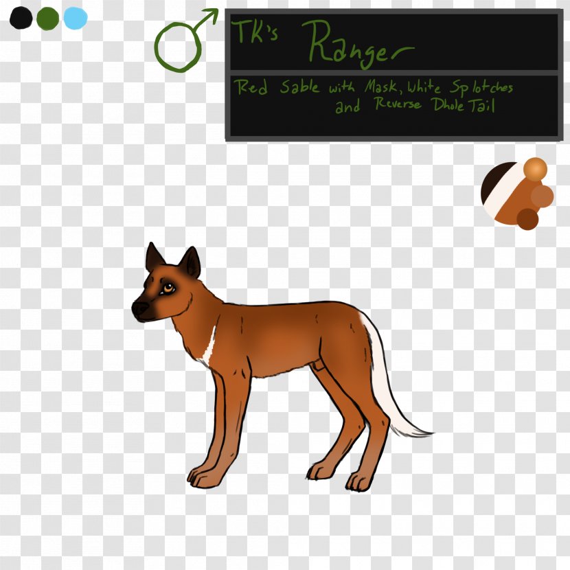 Dog Breed Red Fox Clip Art - Wildlife Transparent PNG