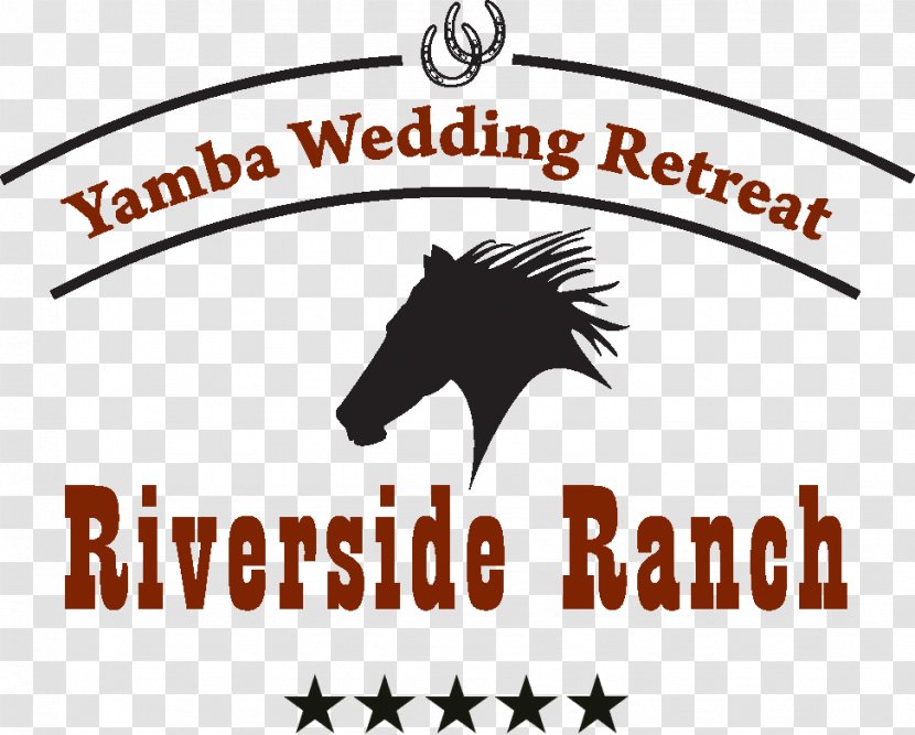 Yamba Weddings Mustang Wedding Reception Shores Tavern - Horse - Deco Transparent PNG