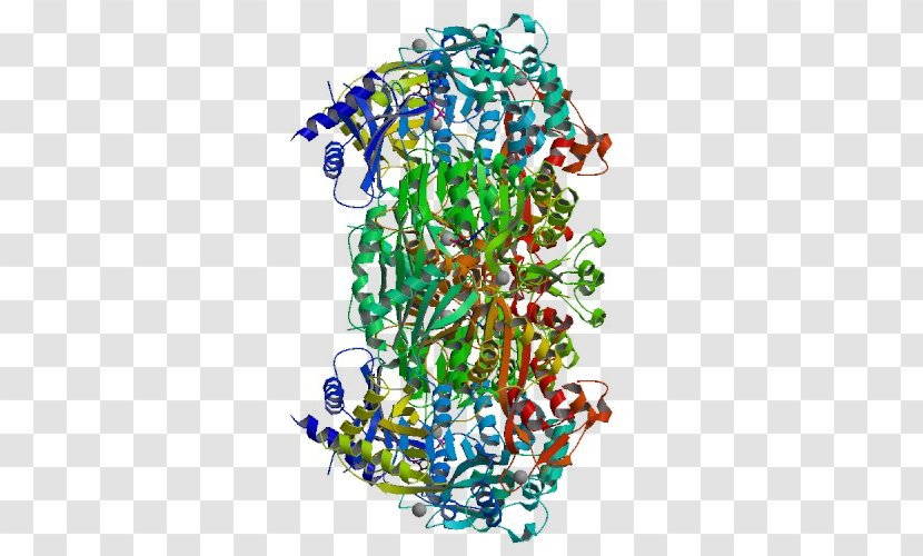 Central Mississippi Correctional Facility Image Immune System Illustration Response - Motor Proteins Mechanism Transparent PNG