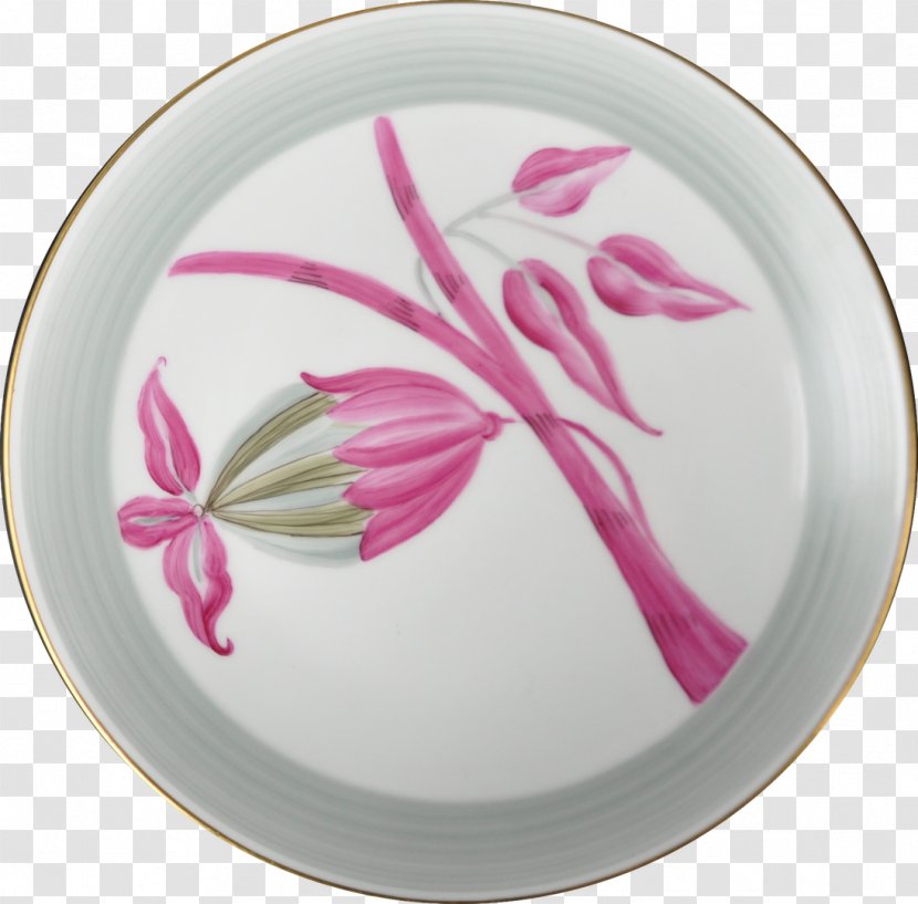 Pink M Porcelain Oval RTV - Tableware Transparent PNG