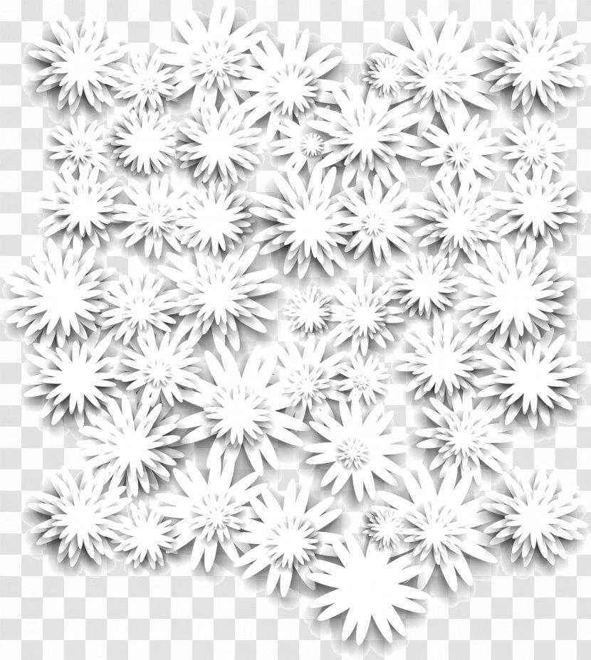 Chrysanthemum Download - Monochrome Photography - Vector Transparent PNG