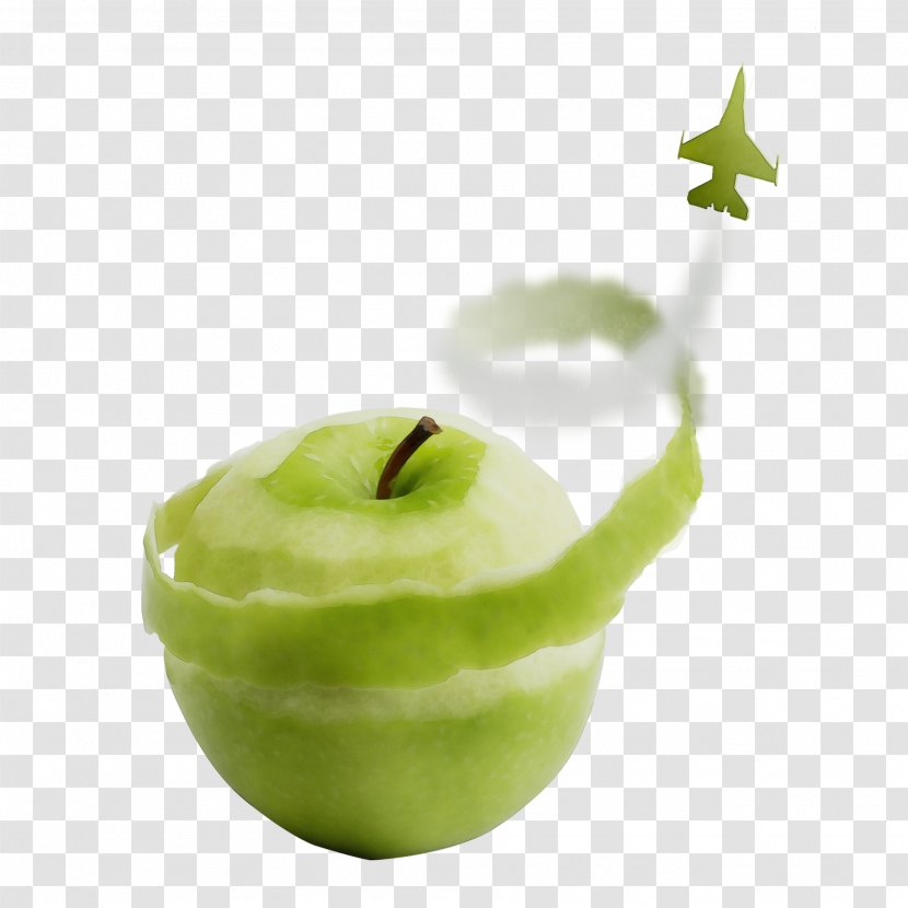 Granny Smith Kiwifruit - Watercolor - Candle Plant Transparent PNG
