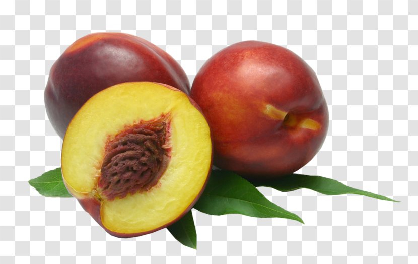 Nectarine Fruit Food Berry Gene - Nectarin Transparent PNG