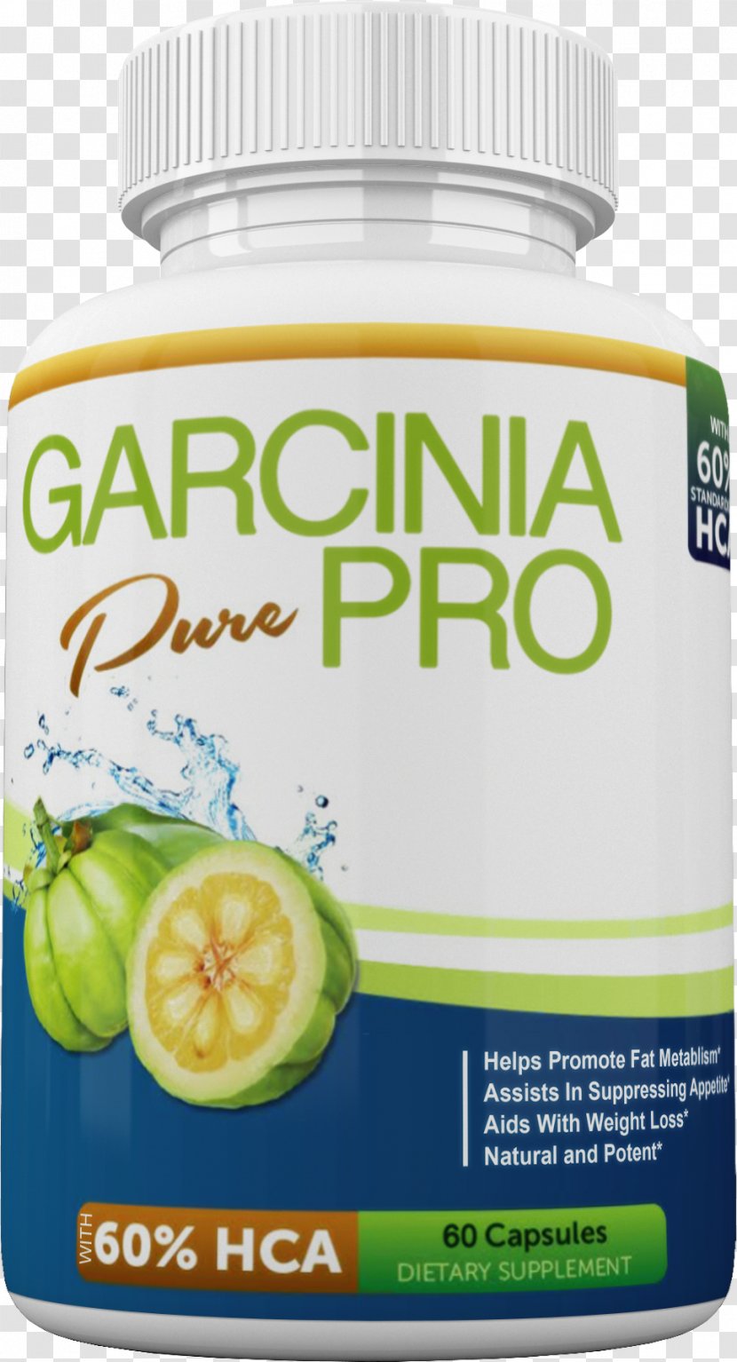 Garcinia Gummi-gutta Dietary Supplement Hydroxycitric Acid Weight Loss Health - Green Coffee Extract Transparent PNG