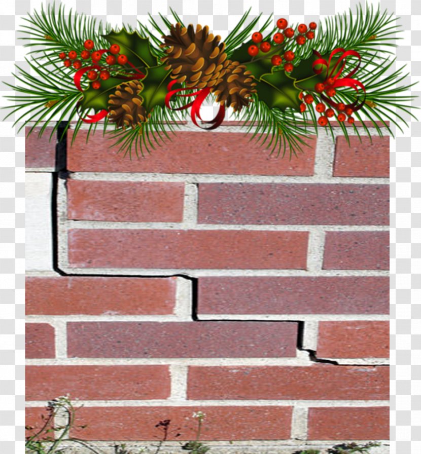Christmas Conifer Cone Pine Clip Art - Artificial Tree - Wall Crack Transparent PNG